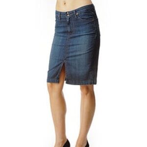 Adriano‎ Goldschmied " the Precise" Skirt